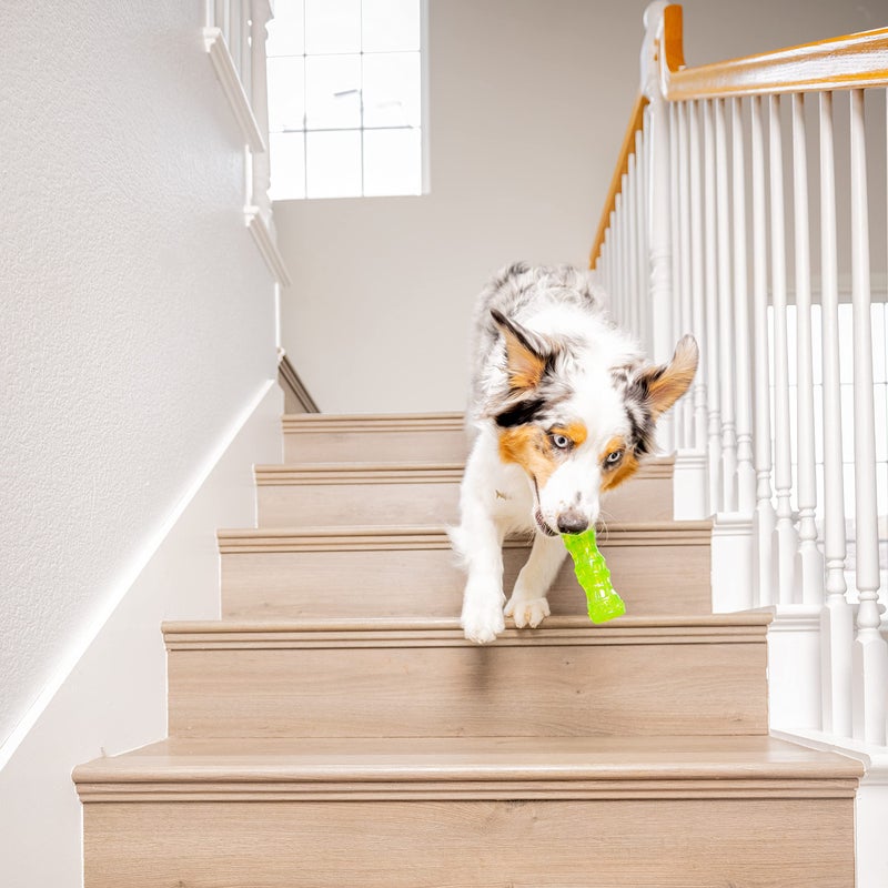 Hyper Pet DuraSqueaks Dog Toy Balls and Chews (Squeaky Dog Ball For Interactive Play â€“ Floating Balls and Toys) - Medium Stick - Image 4